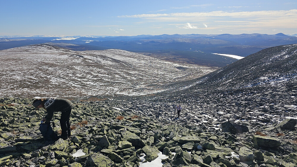 Tilbakeblikk litt oppe i fjellsia