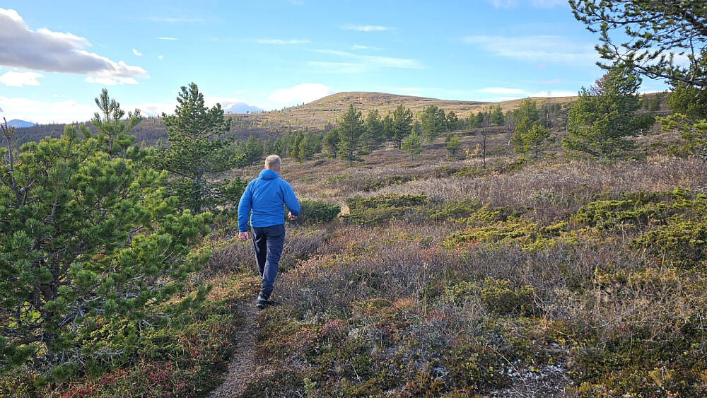 Vi la det opp som en rundtur og startet opp en mindre umerket sti