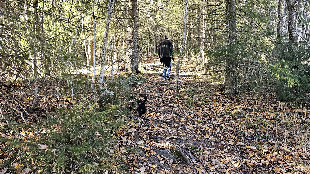 Vi startet opp bratt stien