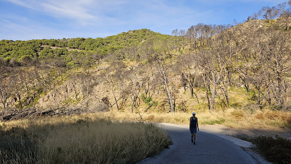 Her var deler av skogen brannskadet