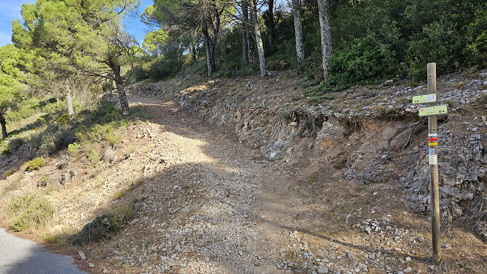 Her tok stien av opp mot toppen. Samme sti systemet som jeg var på i forgårs