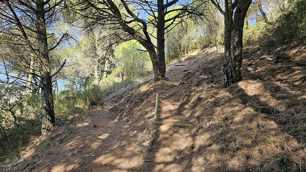 Noen hundre metere inn på hoved stien, tok det av en sti opp mot toppen