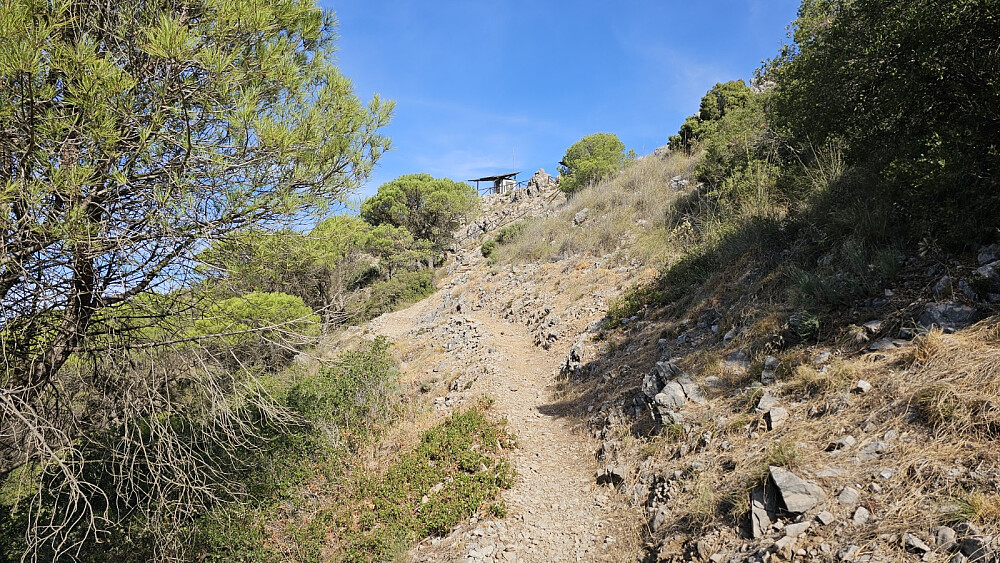 Da er toppen i sikte