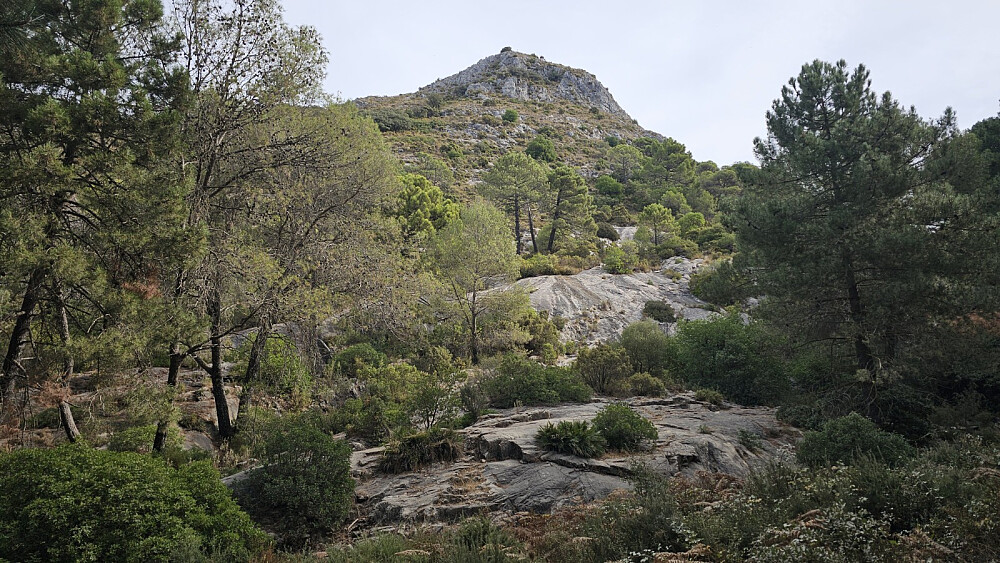 Fri sikt opp på Mirador del Macho Montes, men det får bli en annen tur