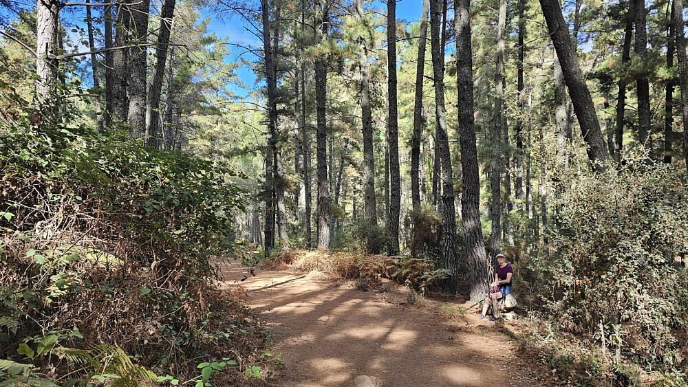 Her ble det en liten meditasjon pause i den flotte skogen