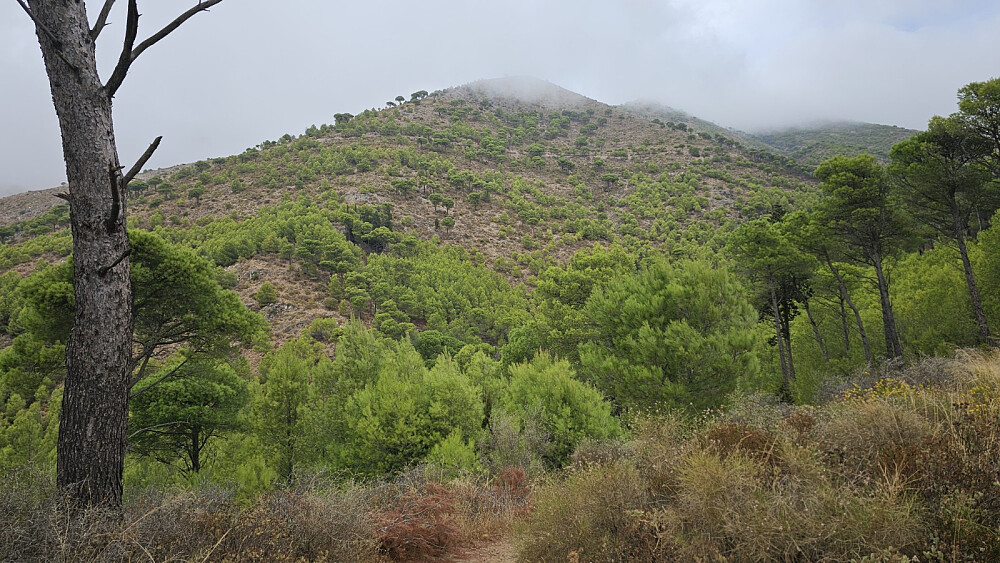 Tåka lå ned over toppene i dag