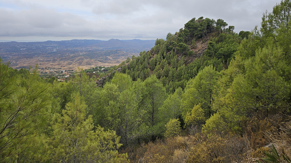 Det ble en tur oppom Pico Mijas pequeño i dag også. Jeg var på den også for 4 dager siden, da jeg måtte avbryte fjellturen pga at jeg ikke hadde med drikke i varmen