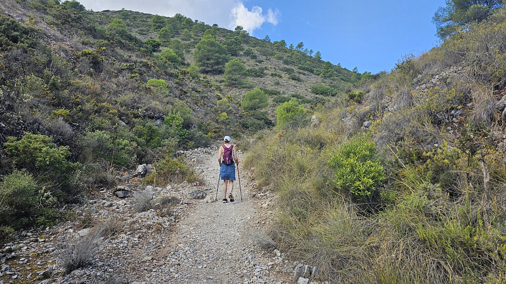 Stien var veldig lettgått og GO hadde ingen problemer med å gå opp her