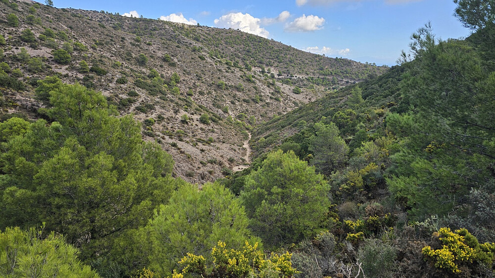 Tilbakeblikk ned canyonen vi kom opp