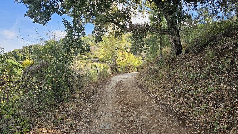 Et kort flatt parti med grusvei