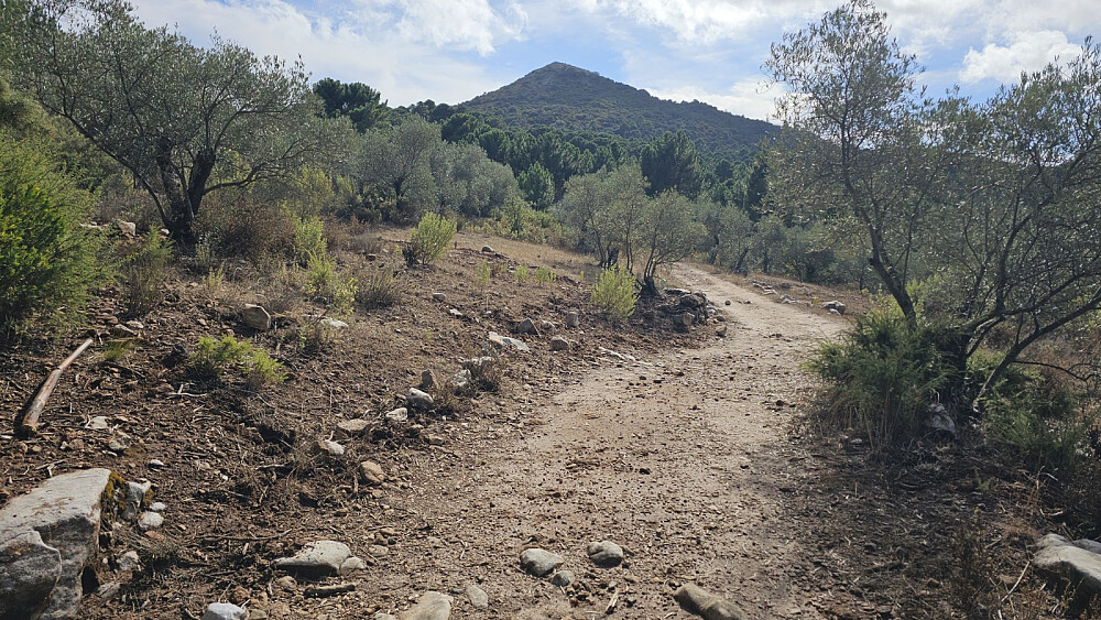 Toppen var imidlertid lett å se og da var det å velge sti som gikk i riktig retning