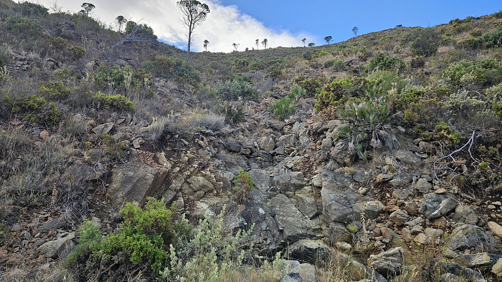 Oppe ved veikrysset valgte jeg å gå til høyre. Jeg fant ingen sti, og valgte da å ta opp i terrenget her