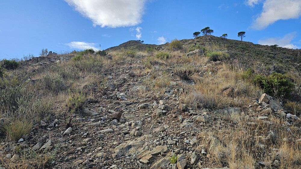 Heldigvis kom jeg inn på sti ganske snart