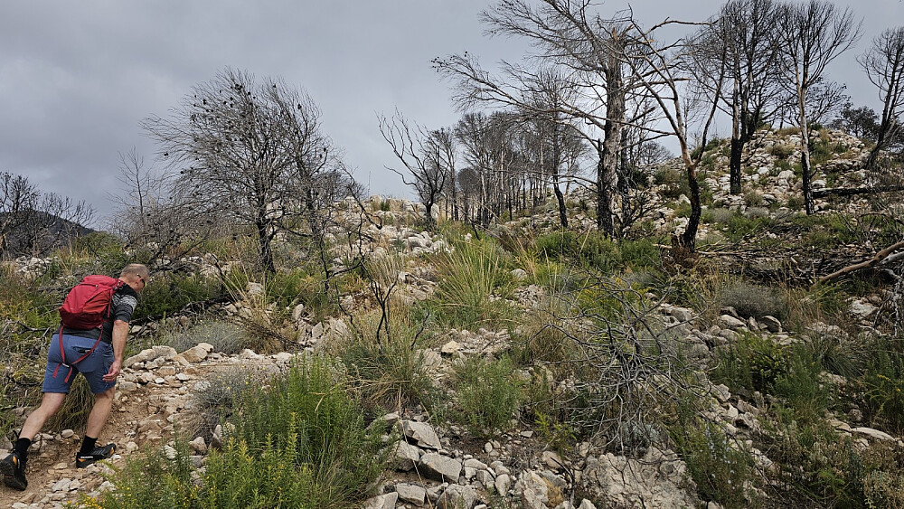 Sist GO og jeg var her, gikk vi veien opp, men i dag hadde jeg funnet ut hvor stien gikk, og vi fikk en flott tur opp