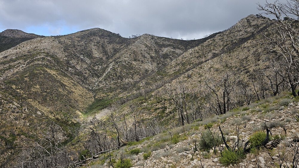 Mange fine toppunkter her oppe