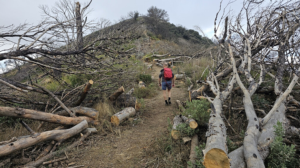 Mot toppen var heldigvis stien ryddet slik at vi lett kom frem