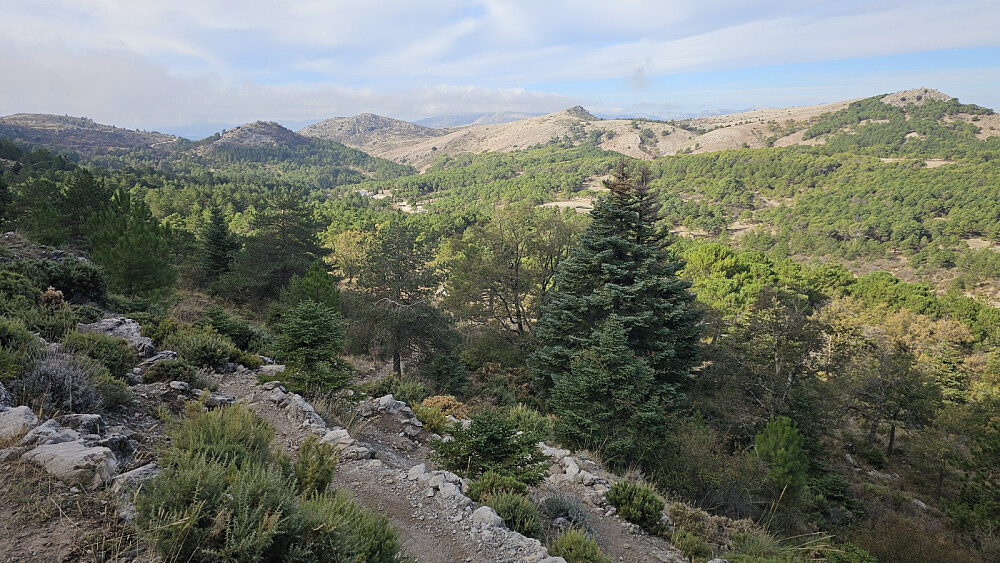 Tilbakeblikk litt opp i fjellsiden