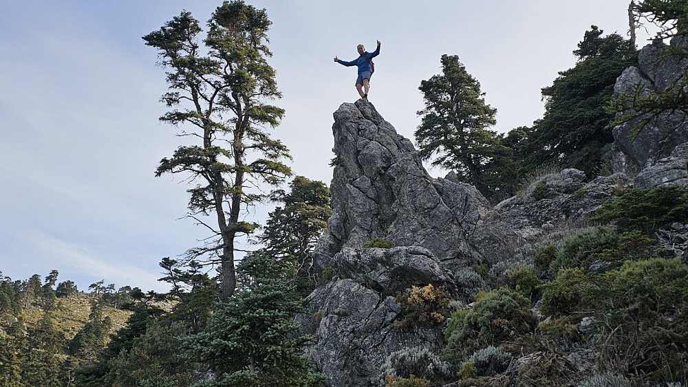 Artig terreng med veldig gammel og flott urskog