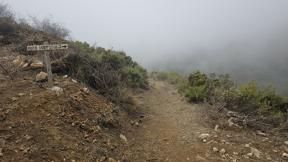 Her tok vi av veien og fortsatte inn stien