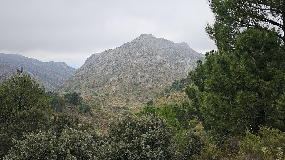 centerUtsikt over på Cerro de la Fulaneja