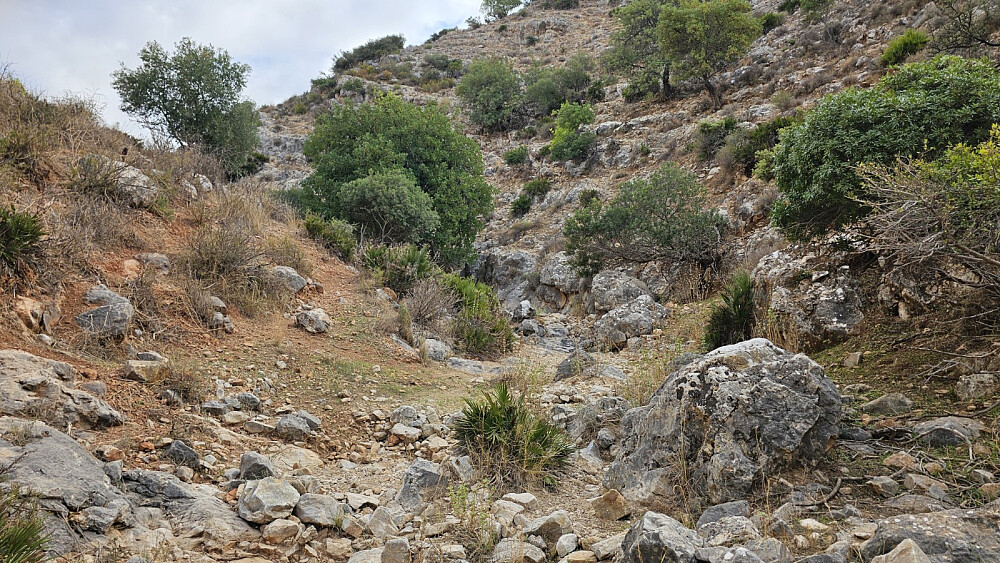 Jeg klarte å gå forbi stien og havnet i stede i den tørre bekkedalen