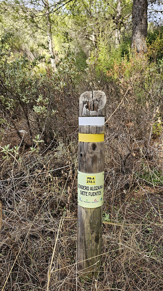 Godt merket der stien tok av veien og forsvant opp skogen