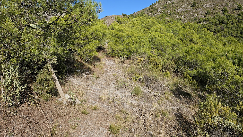 Oppe i det første skaret var det skiltet stikryss. Skiltet måtte ha litt støtte av trærne for å holde seg oppe