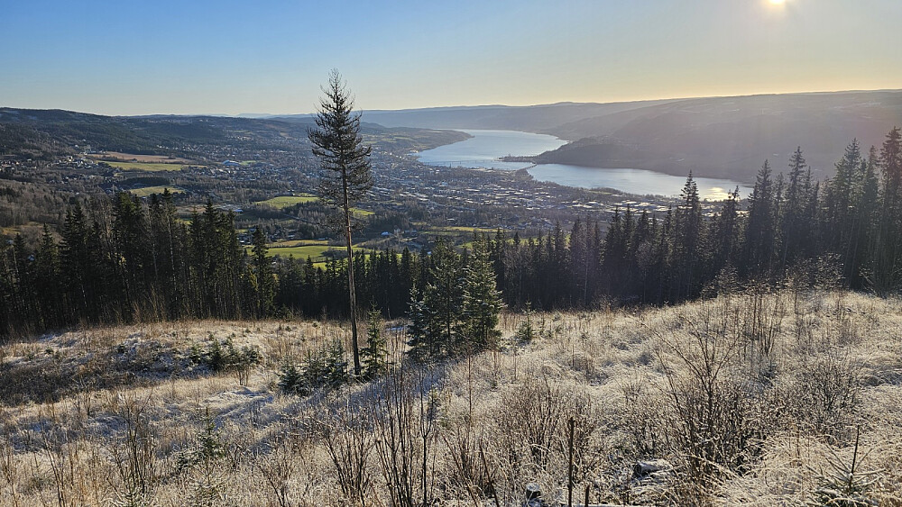 Utsikt fra gapahuken øverst i hogstfeltet