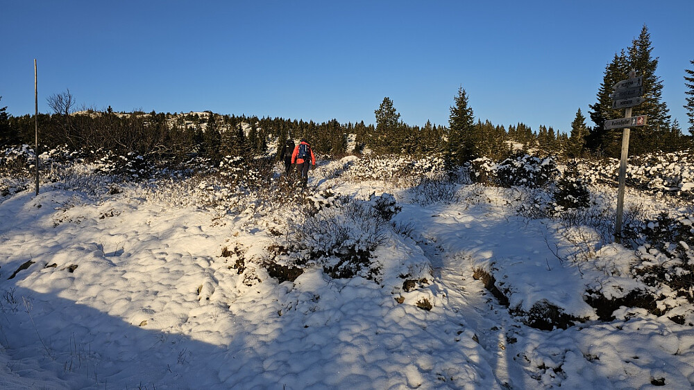 Vi parkerte på Hornsjøkrysset ved Ytre Eina og gikk veien bort til skiltet stistart opp til Reinsfjellet