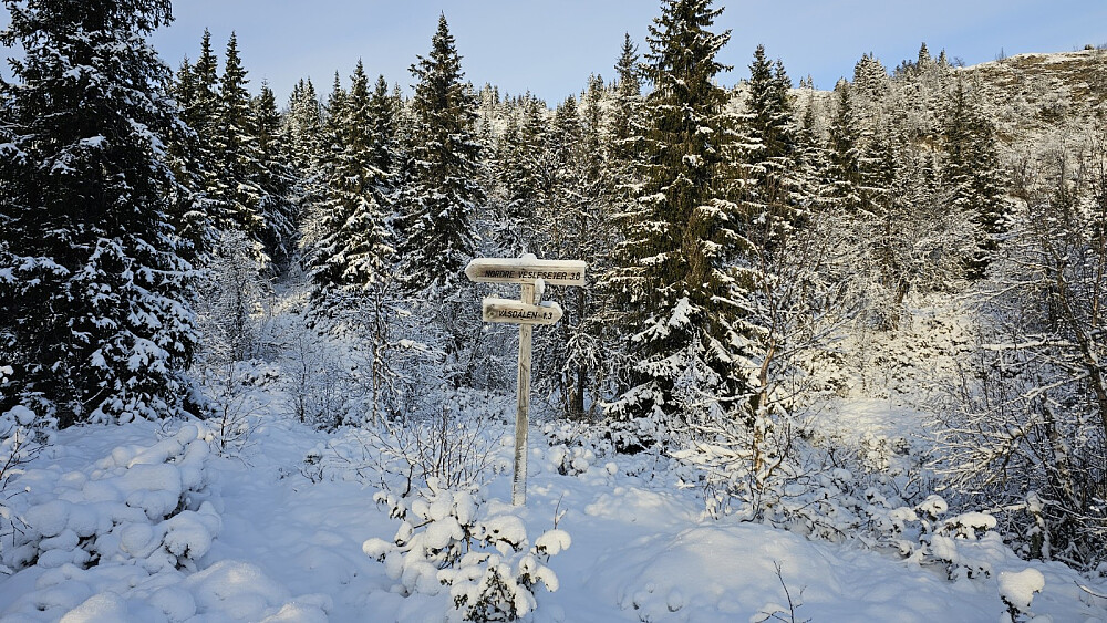 Skilt i første stikryss