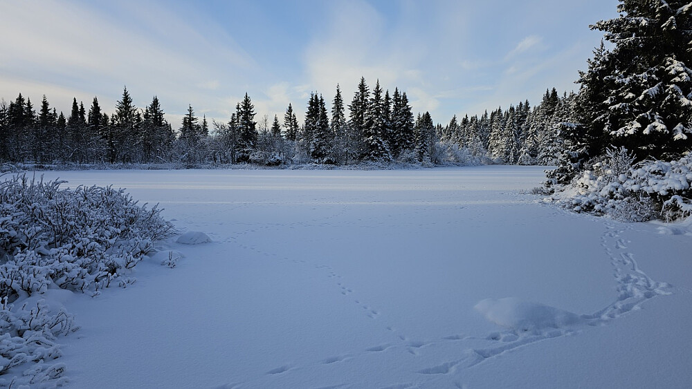 Her kunne jeg gå lett på det islagte tjernet
