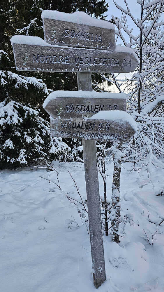 Rett etter tjernet var det et nytt stikryss, og jeg tok av opp mot fjellet