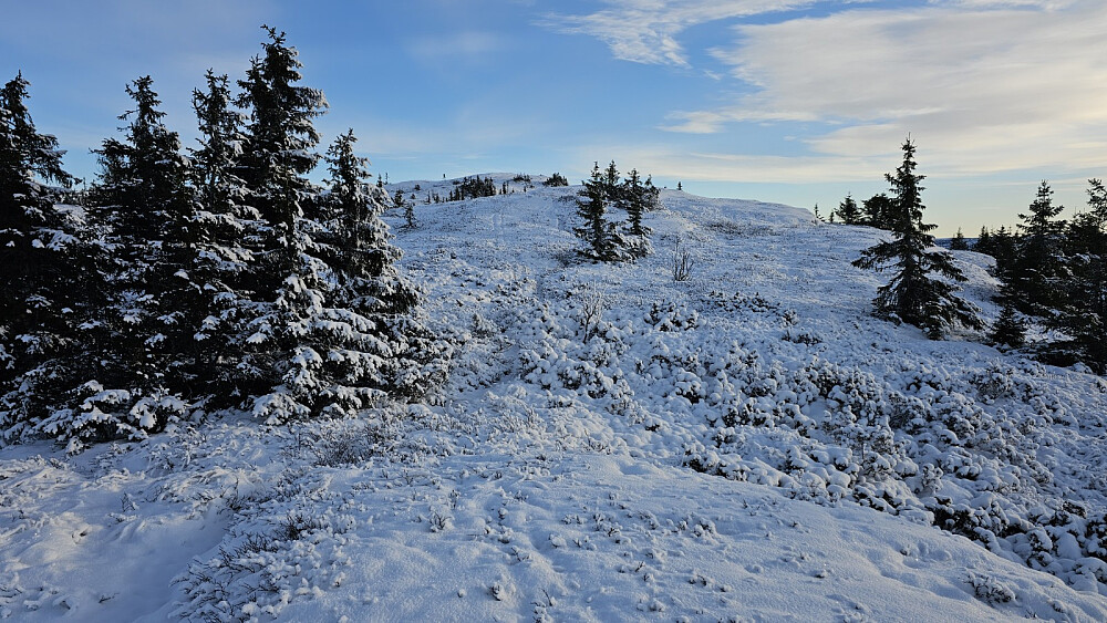 Etter en liten motbakke kom jeg opp på fjellet