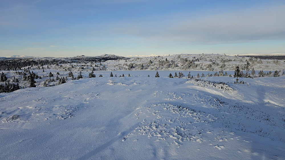 Bort på selve Skinnfjellet