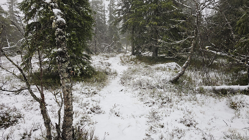 I snøen var det fotavtrykk etter et par andre som har vært her oppe etter at snøen kom