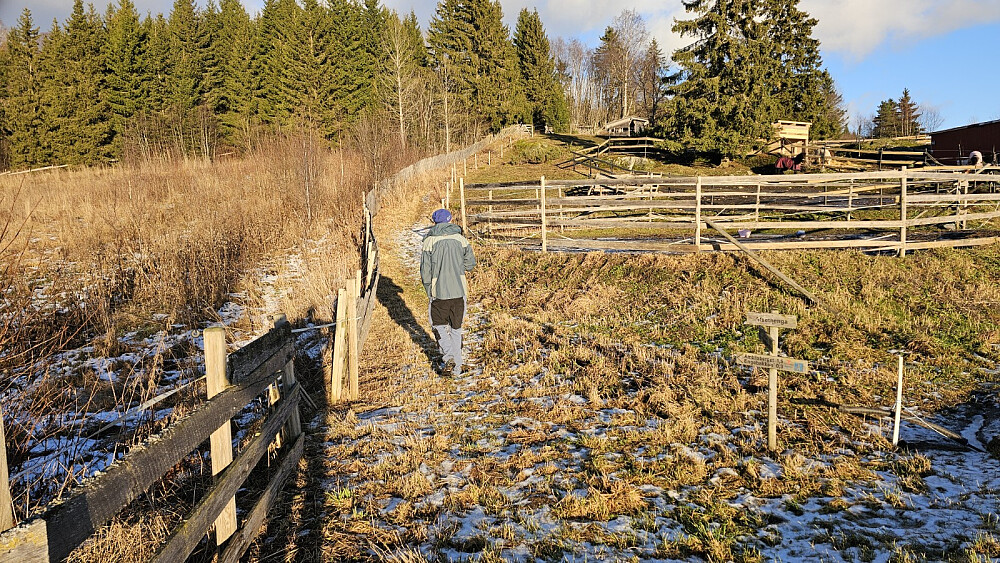 Vi gikk noen trivelige gutuer i starten