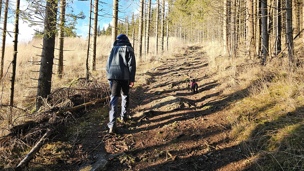 God sti og solskinn gjorde dette til en flott tur. Tydelig og merket sti med skilt i alle stikryss