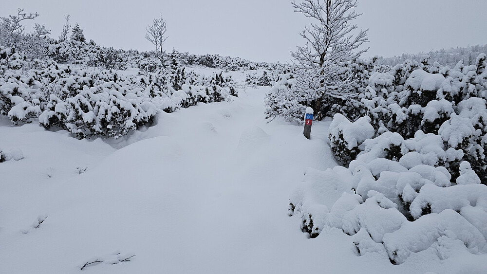 Det var 25 - 30 cm løssnø og tungt å gå