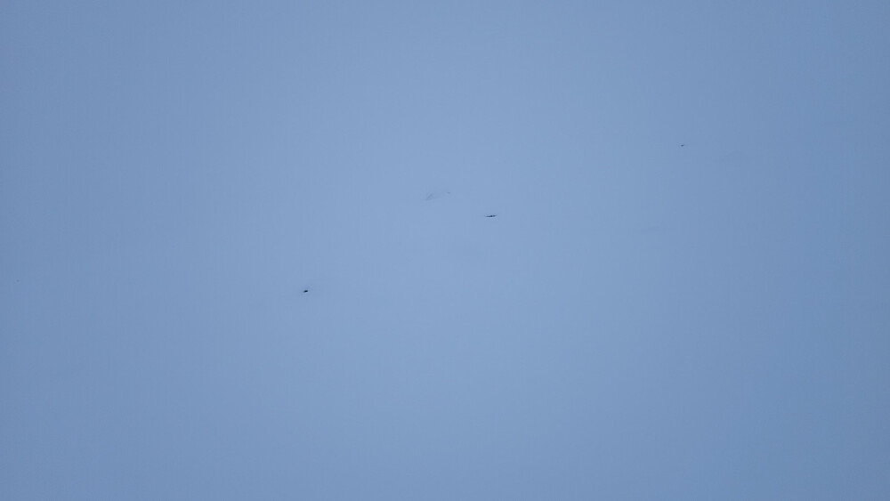 Oppe i fjellet var det tjukk tåke og minimal sikt