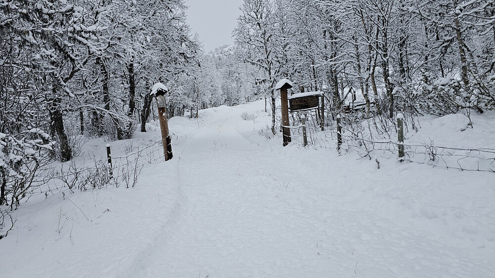Jeg startet opp denne veien