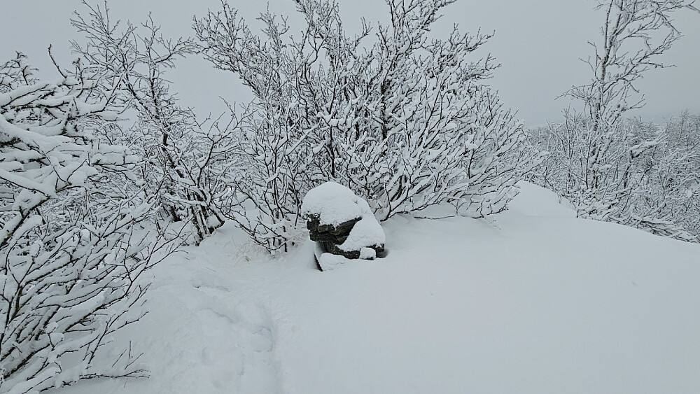 Liten varde på toppen