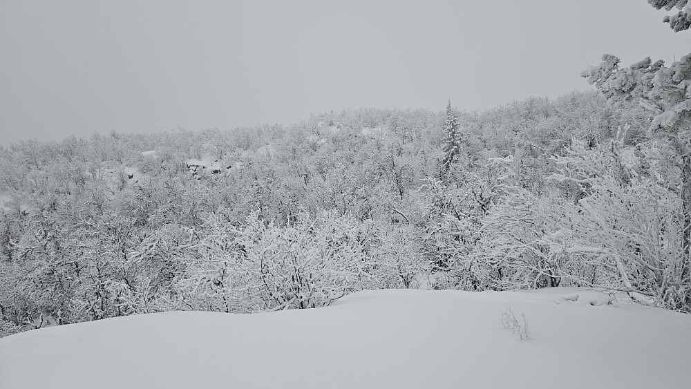 Utsikt tilbake og opp på Kinnhovdun