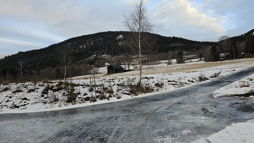 For en uke siden var trærne hvite av snøen, men nå var de kun våte fra regnet. Jeg fikk et glimt av blå himmel her
