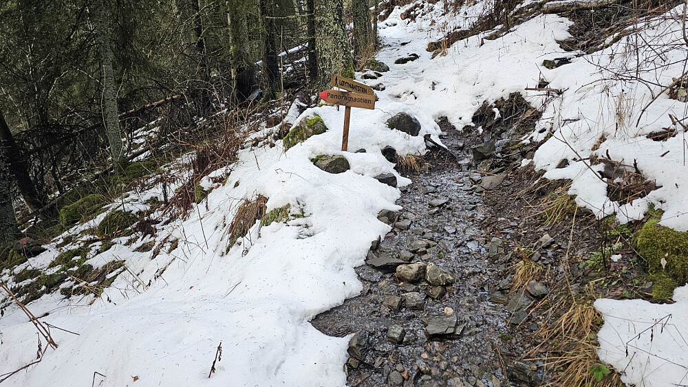 Her rant det nærmest en bekk i stien