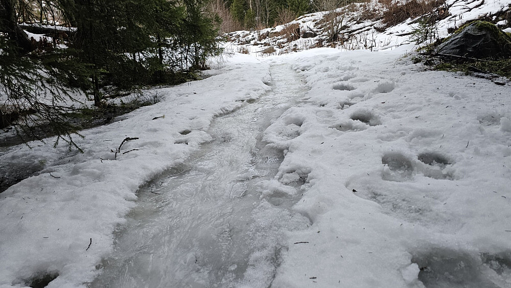 Her fosset vannet ned på den hard tråkkede snøen i stien