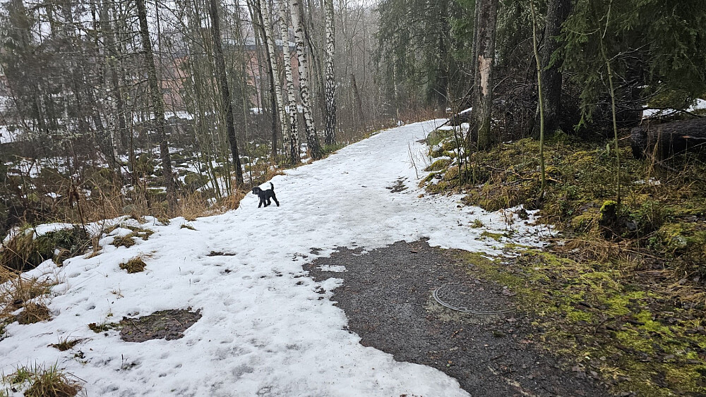 Variert føre i dag også