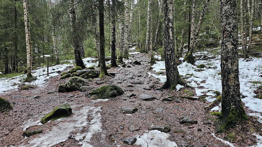 I skogen var det bart i partier og lettere å gå