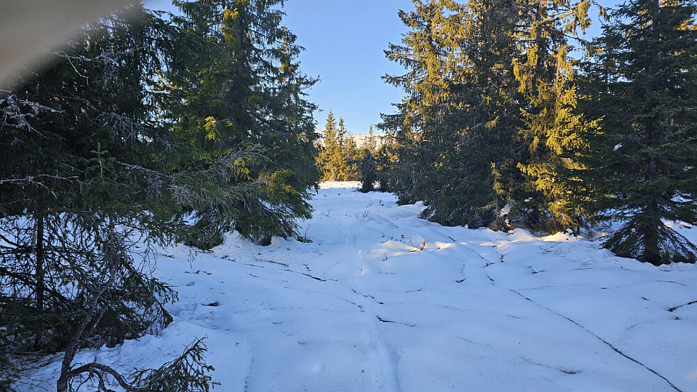 Toppen med hytta i bakgrunnen