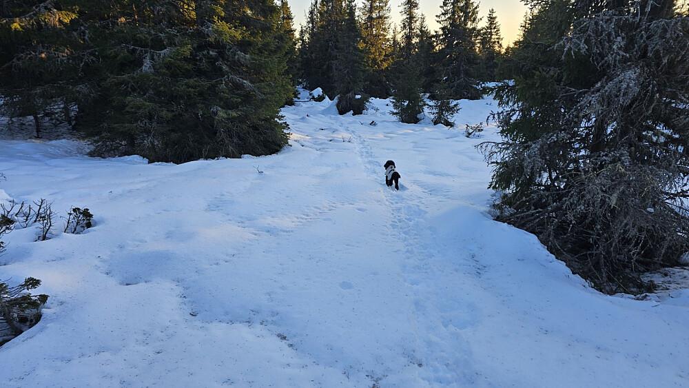Det gikk lettere på returen med ferdig tråkka spor