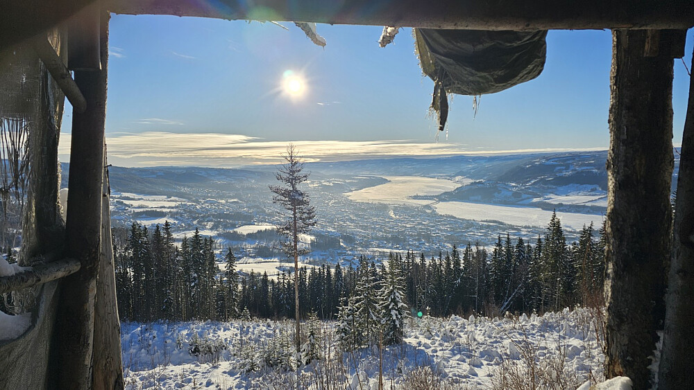 Flott utsikt fra gapahuken øverst i hogst feltet